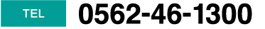 TEL0562-46-1300