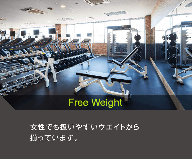 Free Weight　女性でも扱いやすいウエイトから揃っています。