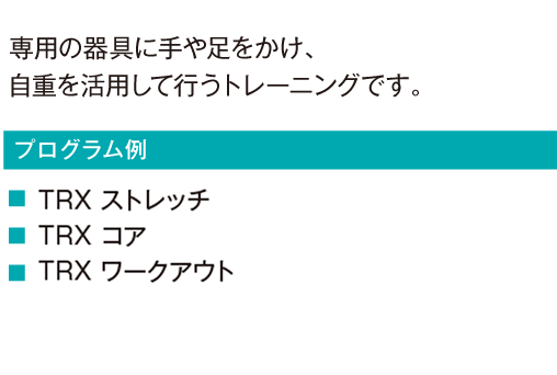 TRXという専用の器具に手や足をかけ、自重を活用して行うトレーニングです。
			gravita ワークアウト
			gravita コア
			gravita ストレッチ
			gravita NEO
				gravita ウィメンズ