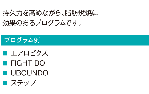 持久力を高めながら、脂肪燃焼に効果のあるプログラムです。
			エアロビクス
			FIGHT DO
			UBOUNDO
			ステップ
				