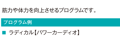 筋力や体力を向上させるプログラムです。
				ラディカル【パワーカーディオ】
					